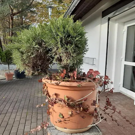 Landlust! Guest house Hoyerswerda