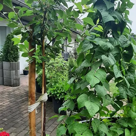 Landlust! ゲストハウス 3*