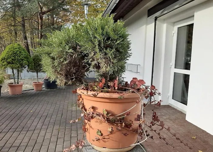 Landlust! 招待所 霍耶斯韦达