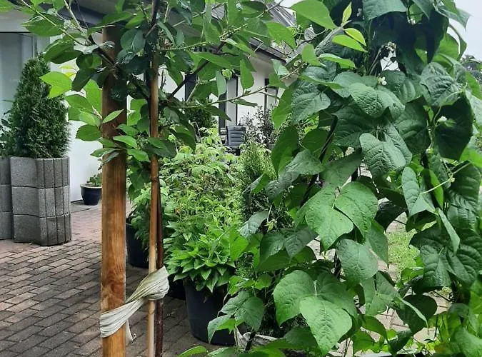 Landlust! 招待所 3*